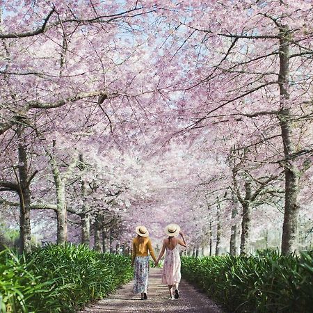 English Cherry Tree Manor Tamahere Exterior foto