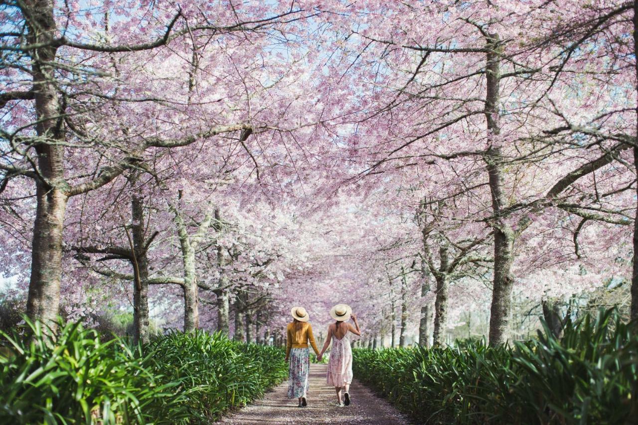 English Cherry Tree Manor Tamahere Exterior foto