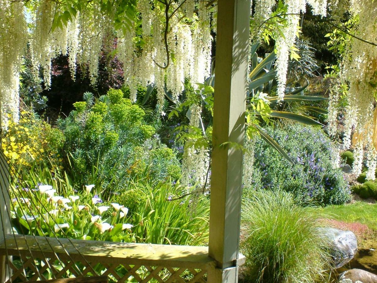 English Cherry Tree Manor Tamahere Exterior foto